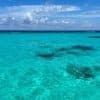 Saona Island: Small Group Virgin Beaches Cruise Day Trip