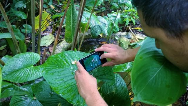 La Fortuna:Butterflies, birds, sloths and Trails Guided Tour