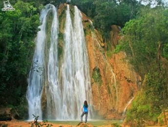 Punta Cana: Samana safari between waterfalls and beaches