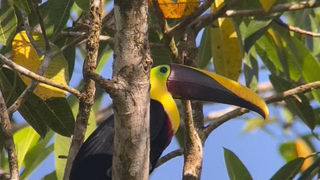 Private Manuel Antonio National Park