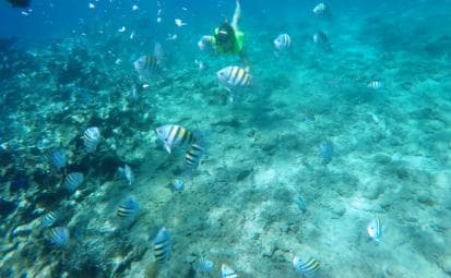 Snorkeling Tour & Sosua Beach Day