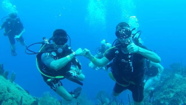 diving catalina island from punta cana