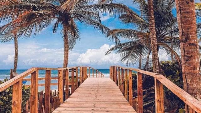 Puerto Rico: Jetski & Tropical Coast Experience
