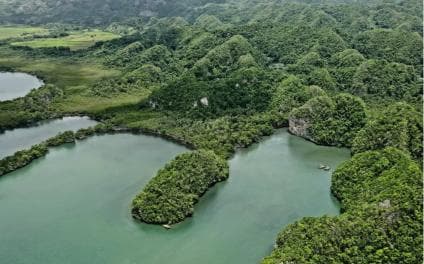 Cano Hondo Natural Pools & Los Haitises boat tour