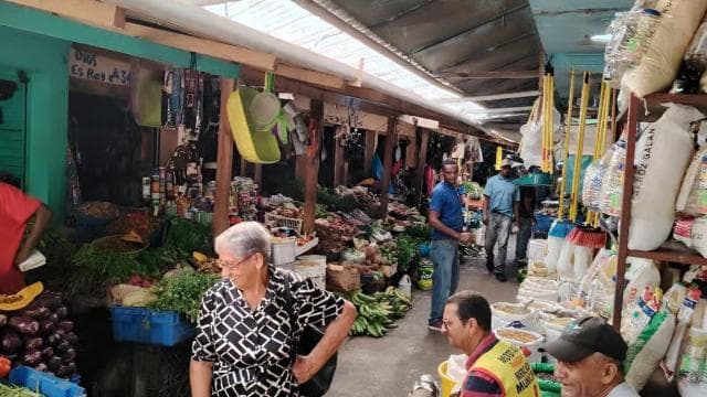 Punta Cana: Half Day Dominican Cultural and Higuey City Tour