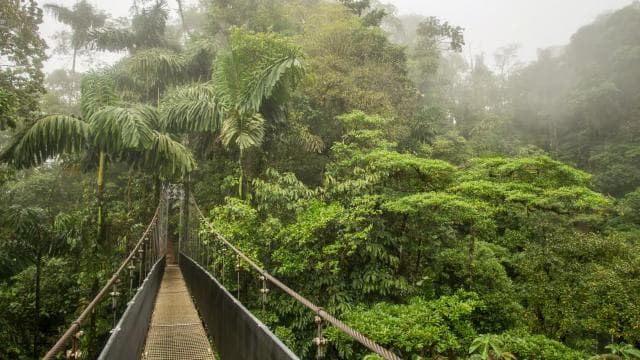 La Fortuna: Arenal Volcano, Hanging Bridges & Waterfall Tour