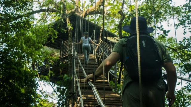 Spa or Jaguar Luxury Rainforest Experiences with Lunch