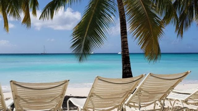 Paradisiacal Getaway: Soana Island from Punta Cana