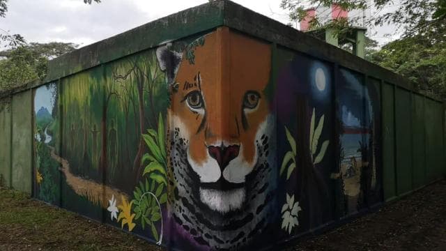 Tortuguero: Day walk in Tortuguero National Park (Jaguar)