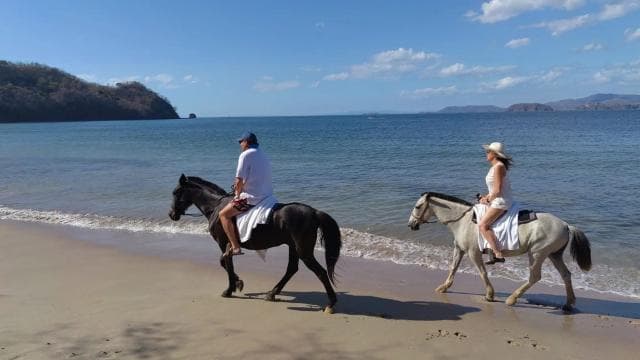 2 Hours Beach Horseback Riding