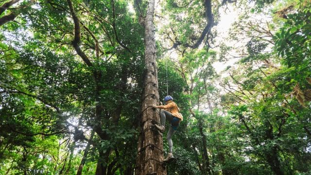 Monteverde: Adventure-Mania Zipline & Challenge Course 5in1