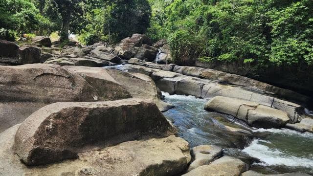 El Yunque Rainforest Water Slide & Luquillo Beach Tour