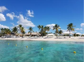 Private: Full-Day Catalina Reef & Beach Escape by Catamaran