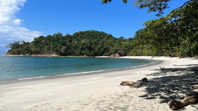 PRIVATE TOUR Manuel Antonio park