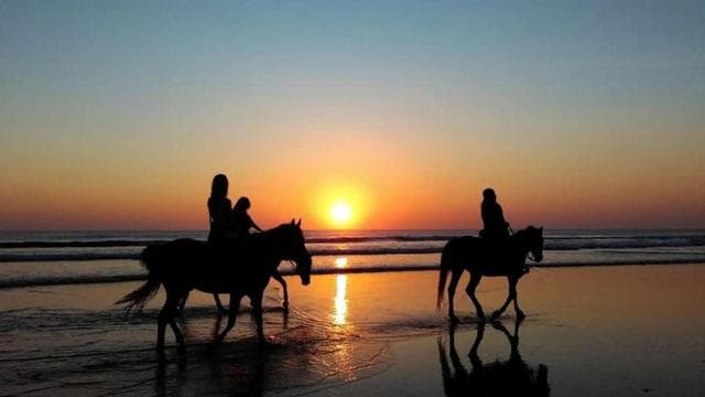 Tamarindo: Horseback to Conchal Beach Guanacaste, Costa Rica