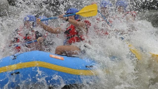 From San José: Pacuare River White Water Rafting Day Trip