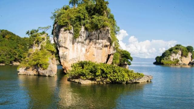 Haitises & Montaña Redonda: Nature's Beauty Tour