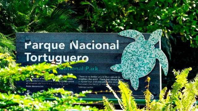 Tortuguero National Park: Best Things to Do in Tortuguero