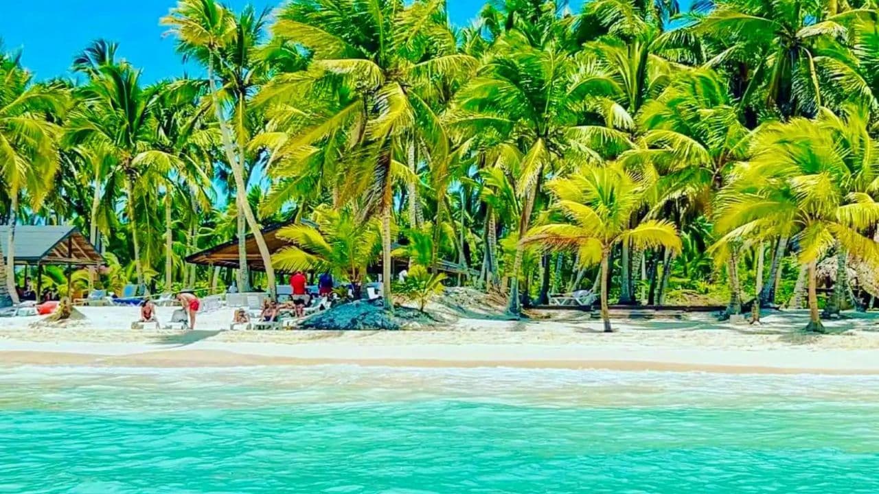 Santo Domingo: Catamaran with Snorkel, Open Bar and Lunch