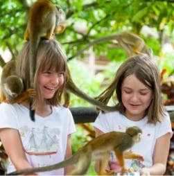 Puerto Plata: Monkeyland Tour
