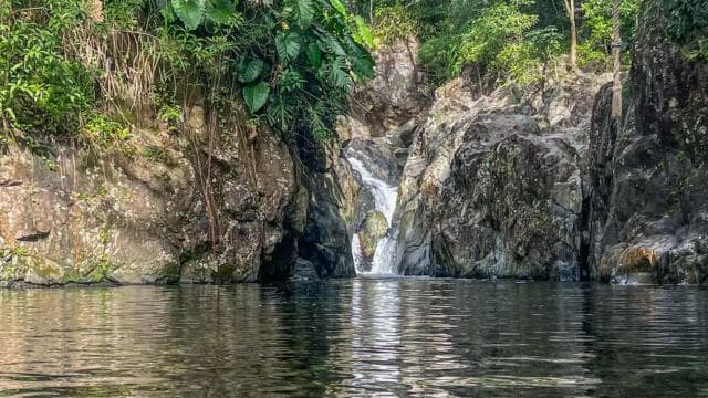 El Yunque Rainforest Tour Hike and Waterslide Adventure