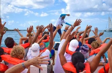 Punta Cana: Saona Island Day Tour and Catamaran Party