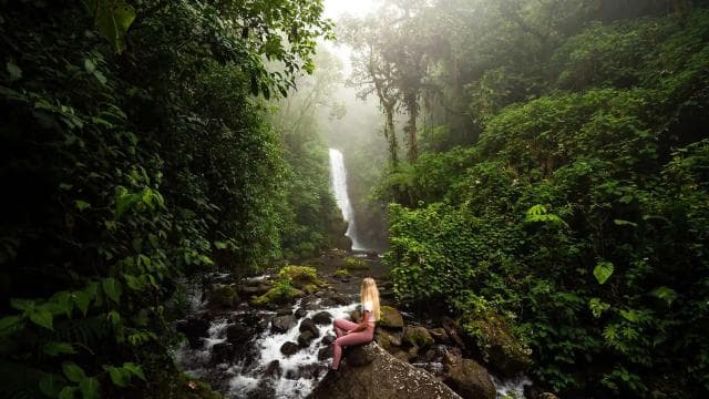 From San Jose: La Paz Waterfall Gardens Guided Day Tour