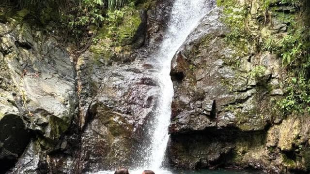 Puerto Rico: 4-in-1 Waterfalls, Beaches & Hikes Experience
