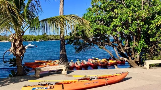Fajardo: Bioluminescent Lagoon Kayak or Full Moon Kayak Tour