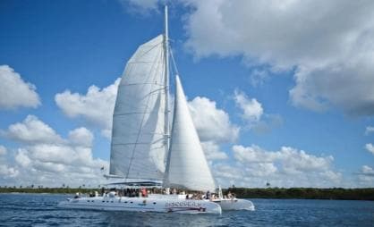 Saona Island all day with lunch and open bar departing from Punta Cana