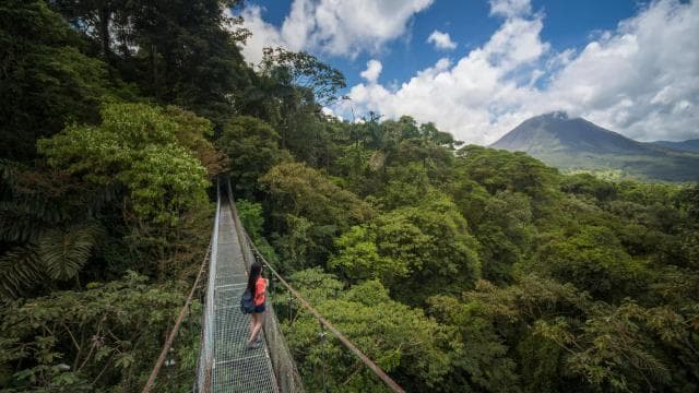 Arenal National Park: Hanging Bridges Small Group Tour
