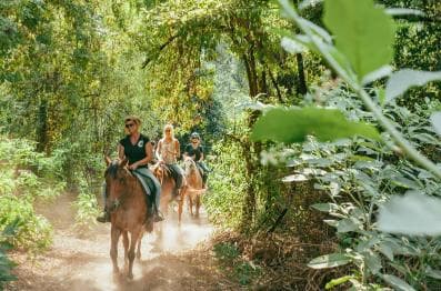 Private: Punta Cana: Horseback Riding Tour with Sunset