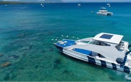 Puerto Plata Catamaran Cruise: Snorkeling, BBQ & Open Bar