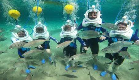 Private: ScubaDoo Underwater Scooter and Snorkel Tour