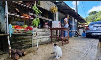 Dominican Republic Countryside Safari Tour from Puerto Plata