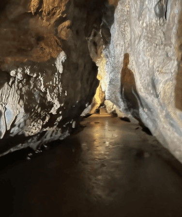Viñales Caves Vintage Car Tour