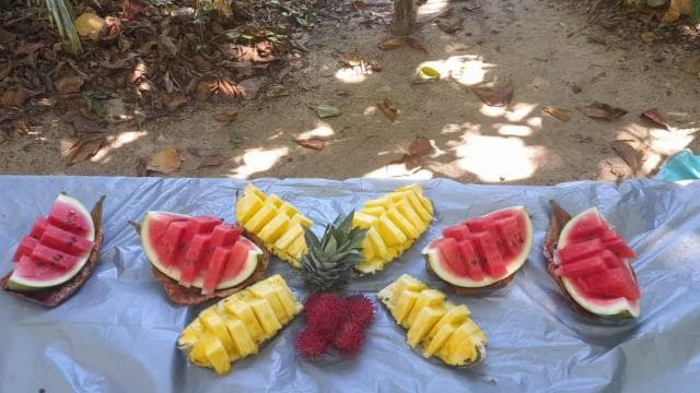 Cahuita national park : guiding tour with Pablo