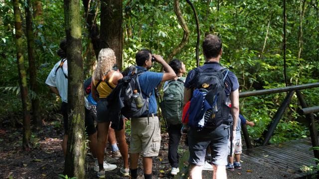 Manuel Antonio National Park: All-Inclusive Guided Tour