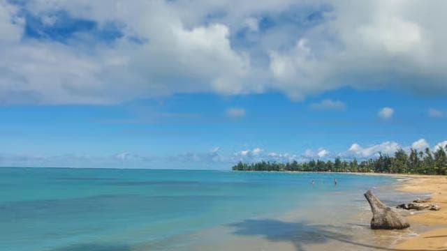 From San Juan: Zip Line, River and Luquillo Beach tour