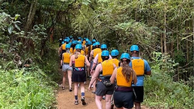 From San Juan: El Yunque Forest Hike & Ziplining Combo Tour