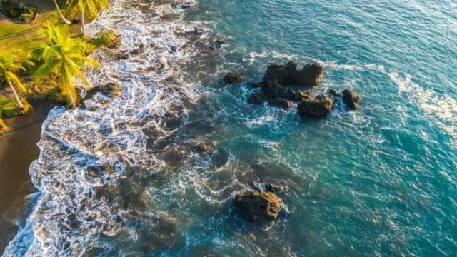 Drake Bay: Jungle Hiking and Canyoning Adventure with Lunch
