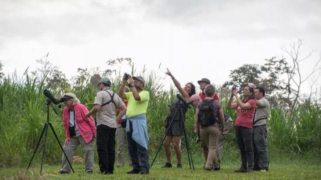 La Fortuna: Sloth Tour in the Wild