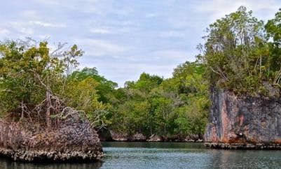 From Punta Cana: Los Haitises Guided Day Tour
