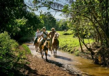 Private: Punta Cana: Horseback Riding Tour with Sunset