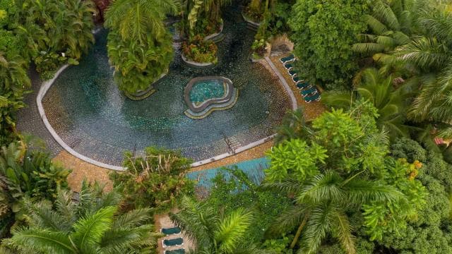 San Jose: Arenal Volcano and Baldi Hot Springs Day Trip