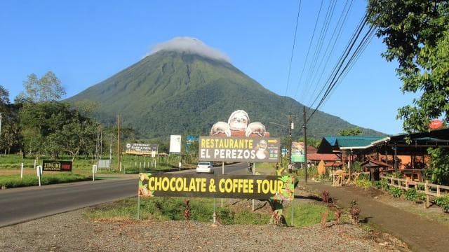 Costa Rica: Sloth tour and Coffee, Chocolate, and Sugarcane