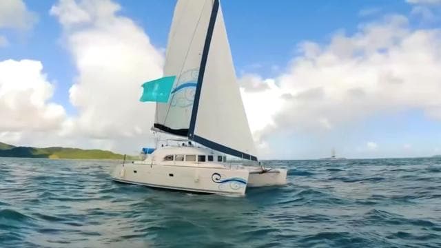 Fajardo: Catamaran Day Cruise to Palomino Island with Lunch