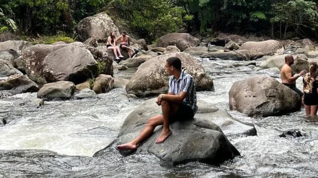 El Yunque Rainforest and Waterfalls : Greenery and Scenery