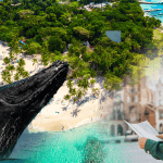 Whale Watching + Cayo Levantado Freedom