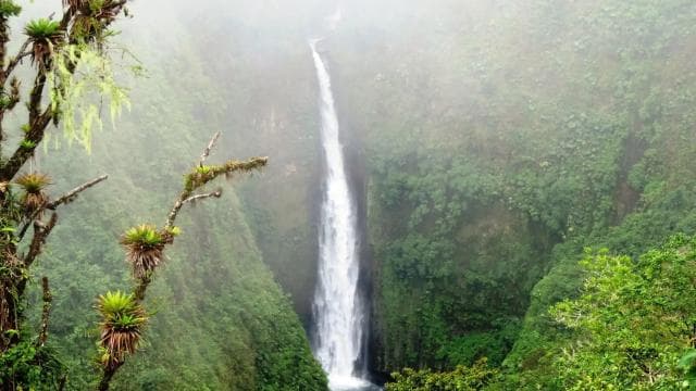 San José: Arenal Volcano, Waterfalls, Coffee and Hot Springs